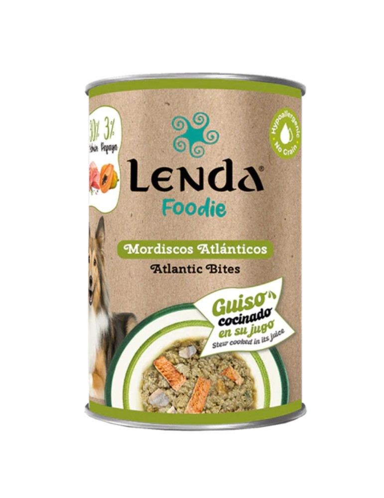 Pâtée Lenda Saumon Hareng – Repas complet pour chiens sensibles
